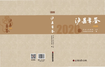 《泸县年鉴2020》封面