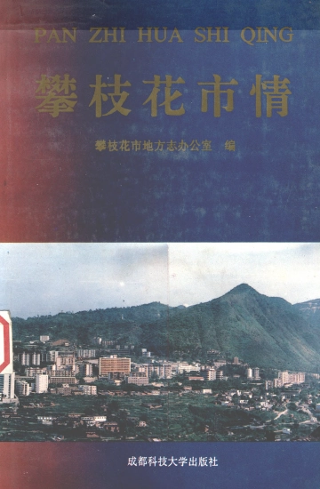 攀枝花市情