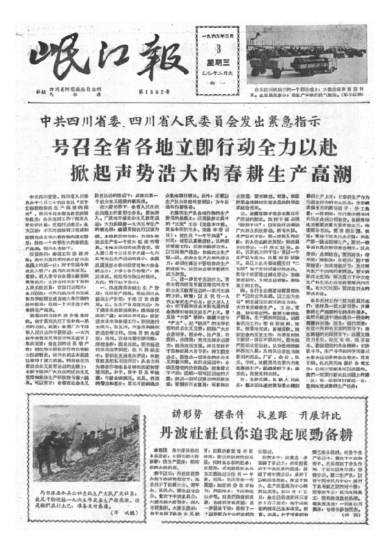 岷江报1965年3月合订本