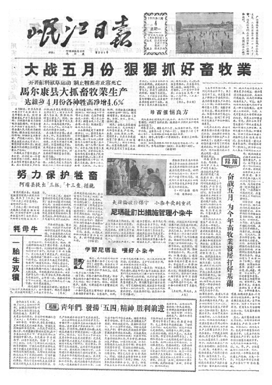 岷江日报1959年5月合订本
