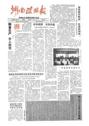 湖南湘声报1988年12月合订本