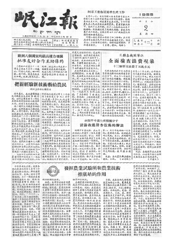 岷江报1955年6月合订本