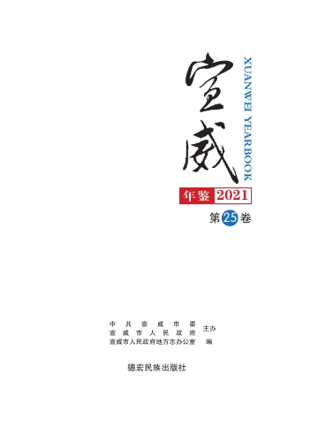 《宣威年鉴2021》封面