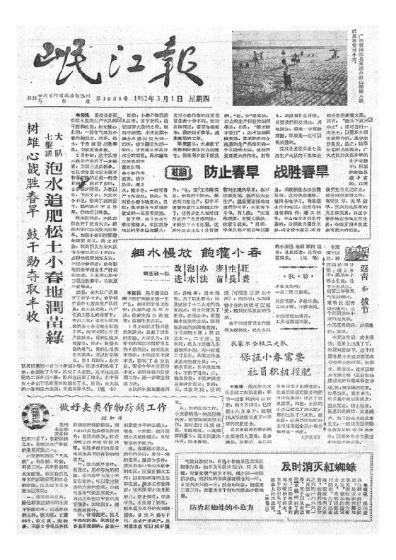 岷江报1962年3月合订本