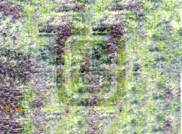 《蒙城县志（同治）》封面