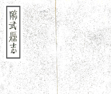 临武县志（同治）