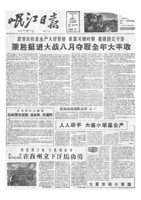 岷江日报1960年8月合订本