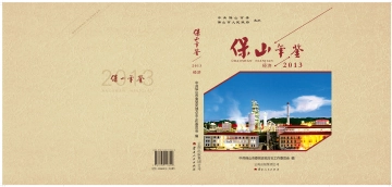 《保山年鉴2013（经济）》封面