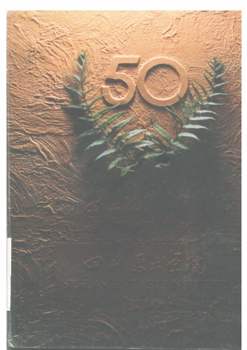 《四川美术学院校史：1938-1989》封面