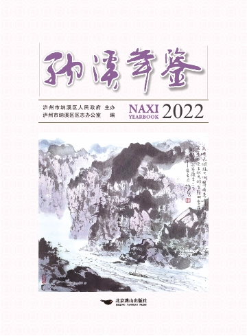 《纳溪年鉴2022》封面