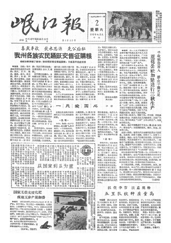 岷江报1963年11月合订本