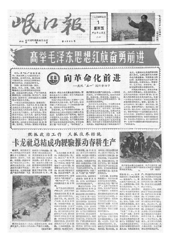 岷江报1964年5月合订本