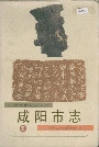 咸阳市志五