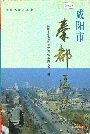 咸阳市秦都区志