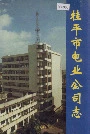 桂平市电业公司志