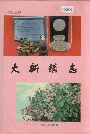 大新镇志