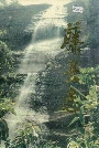 藤县志