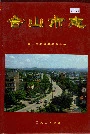 合山市志