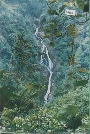 陆川县志