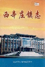 西辛庄镇志