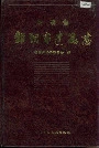 湖南省邵阳市建筑志
