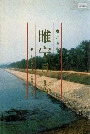 睢宁县志