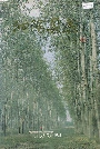 泗阳县志