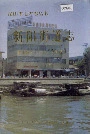 新阳街道志