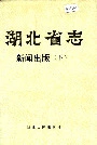 湖北省志 新闻出版（下）