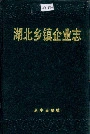 湖北乡镇企业志