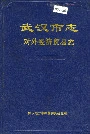 武汉市志 对外经济贸易志
