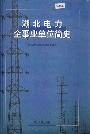 湖北电力企事业单位简史