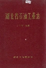 湖北省石油工业志
