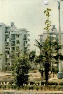 宜昌市房地志