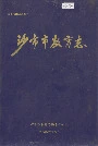 沙市市教育志