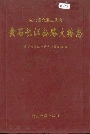 黄石长江公路大桥志