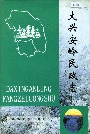 大兴安岭民政志