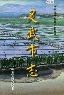 灵武市志