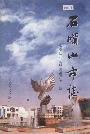 石嘴山市志下册