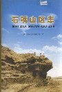 石嘴山区志