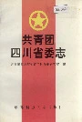 共青团四川省委志