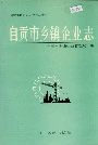 自贡市乡镇企业志