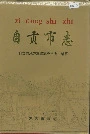 自贡市志下