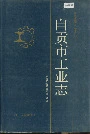 自贡市工业志