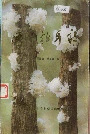 通江银耳志