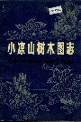 小凉山树木图志