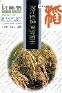 浙江稻种资源图志