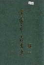 海宁市教育志续一