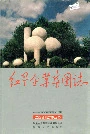 《红星企业集团志》封面