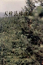 天柱县林业志